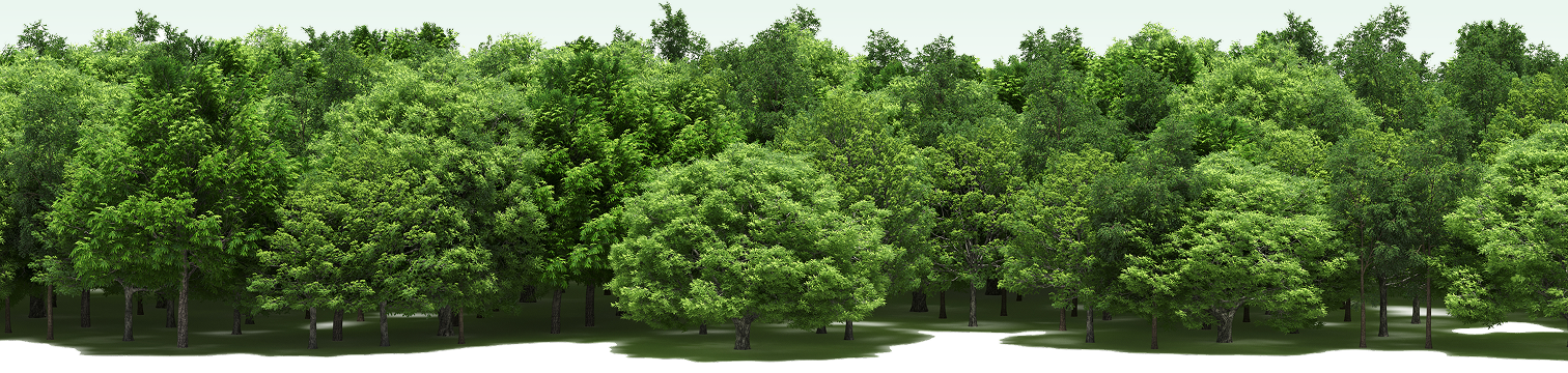 セクション区切り