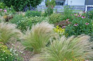 GREEN×EXPO 2027会期前において、共に植付けや植物管理について学び、サスティナブルな花壇を共につくっていく仲間を募集します